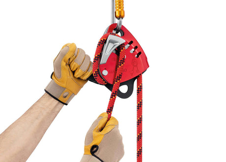 Petzl Maestro® L Descender